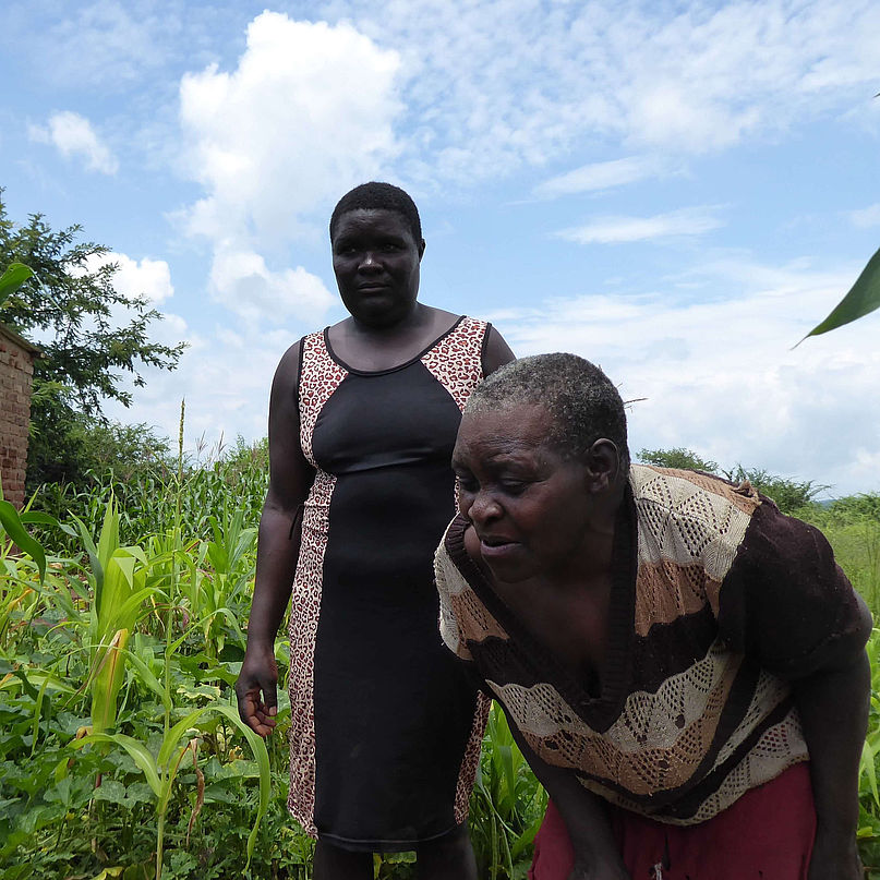 Zwei Frauen inmitten von Pflanzen in Simbabwe