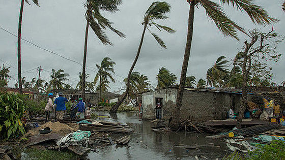 Durch Wirbelsturm Idai in Mosambik zerstörte Häuser, Überschwemmungen und Palmen im Sturm