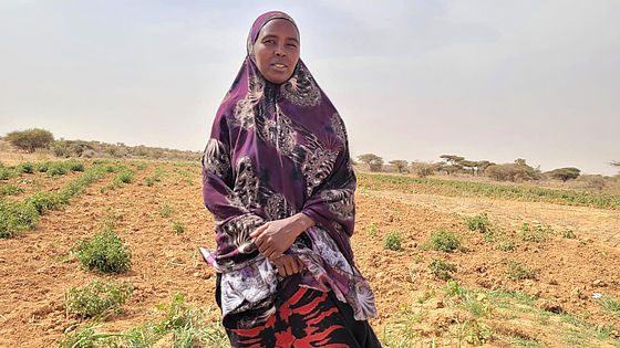Asha Mohammed aus Somalia steht auf ihrem Tomatenfeld.
