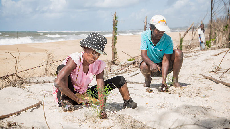 Zwei Frauen pflanzen Nadelbäume in einer Küstenregion Madagaskars