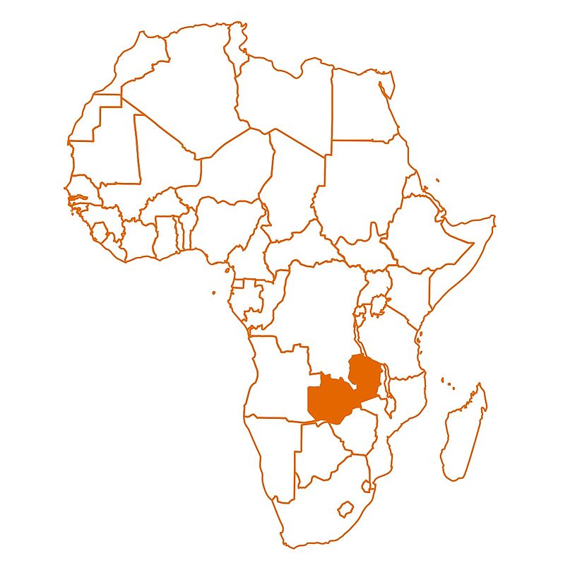 Eine Grafik von Afrika mit Länderumrissen. Markiert ist Sambia.