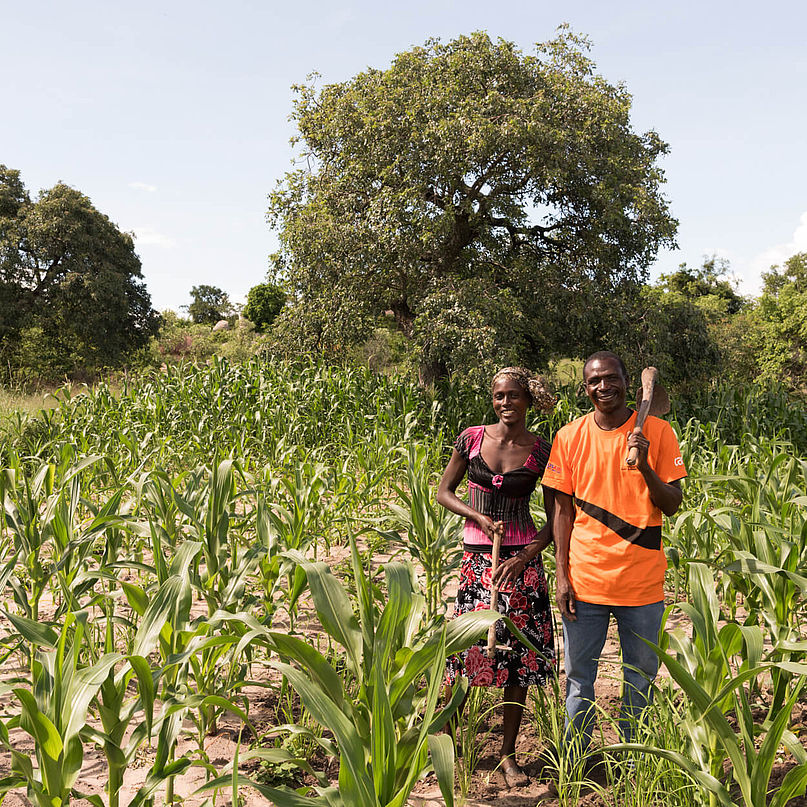 Eine Frau und ein Mann stehen in einem Maisfeld in Simbabwe