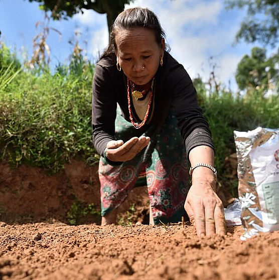 Eine Frau in Nepal pflanzt von CARE bereitgestellte Gemüsesamen auf ihrem Feld