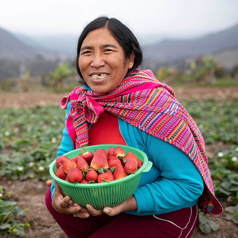 Eine Bäuerin in bunter Kleidung hat Erdbeeren auf dem Feld geerntet