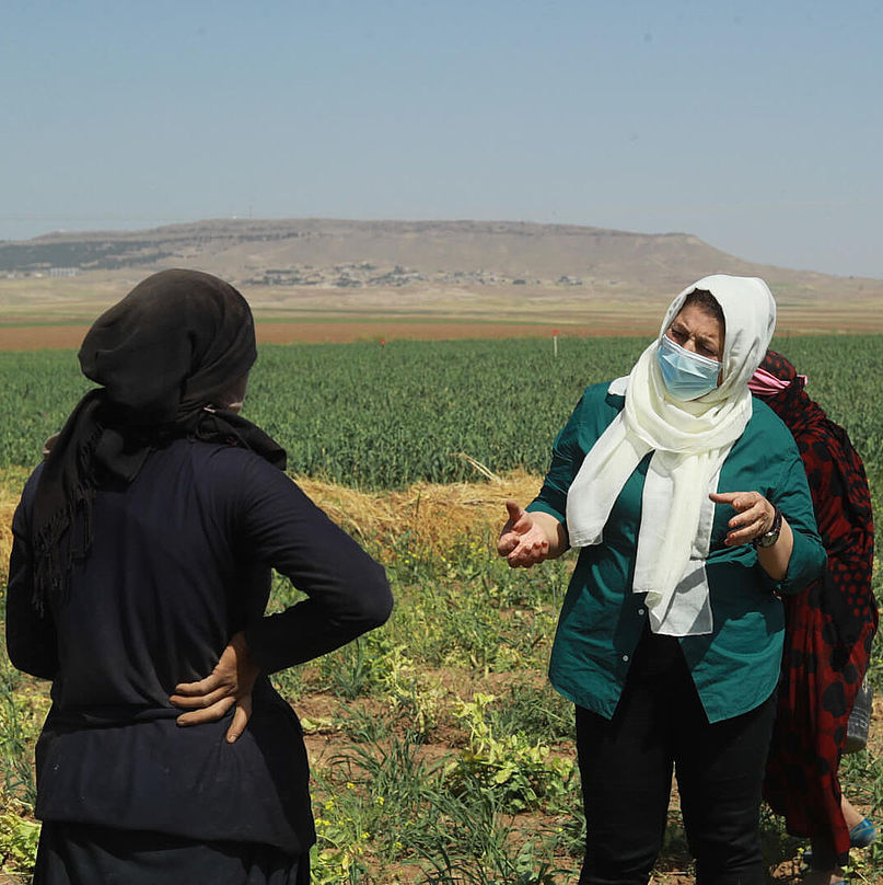 Amal und ihre Mitarbeiterinnen stehen auf einem Feld und unterhalten sich