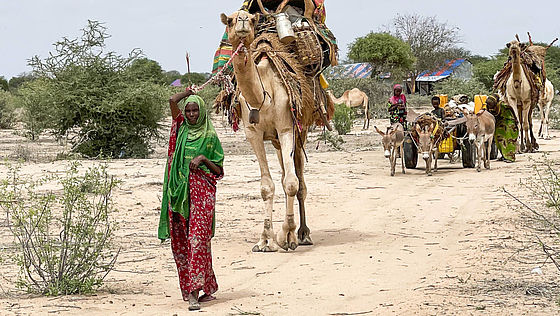 Frauen mit Kamelen auf dem Weg zu den Lagern für Binnenvertriebene.