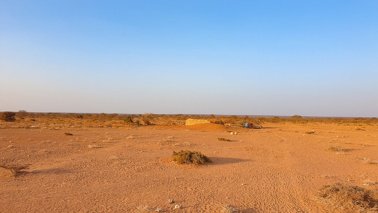 Vertrocknetes Feld in Somalia aufgrund der Dürre.