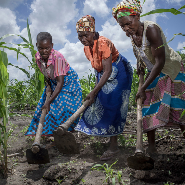 Mehrere Frauen stehen in Mosambik nebeneinander auf einem Acker und haken den Boden.
