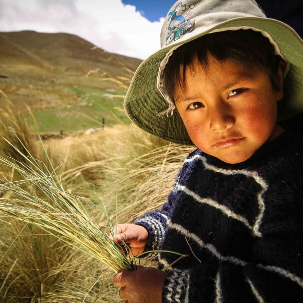 Ein kleiner Junge sitzt auf einem Feld in Peru und hält Stroh in den Händen